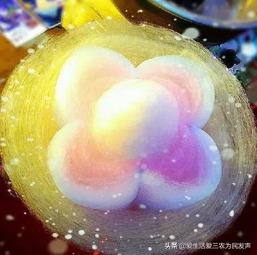 发财好项目(今年赚钱的好项目有哪些)