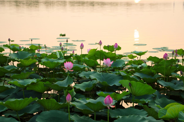 浮龙湖图片