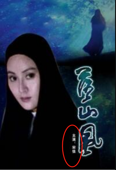 大宋佳，小宋佳，同名同姓却不同命，为什么？