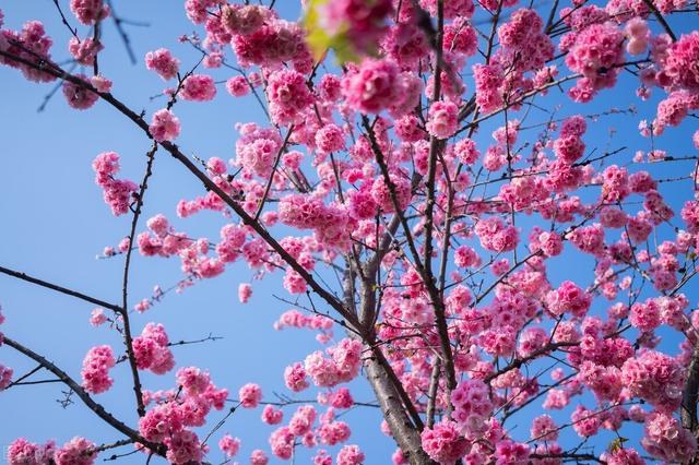 5月20对老公说的话，对老公说的话（致明天的520…给我老公）