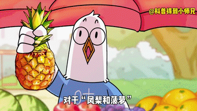 菠萝和凤梨是一样的吗，菠萝和凤梨是一样的吗图片（凤梨还能做罐头）