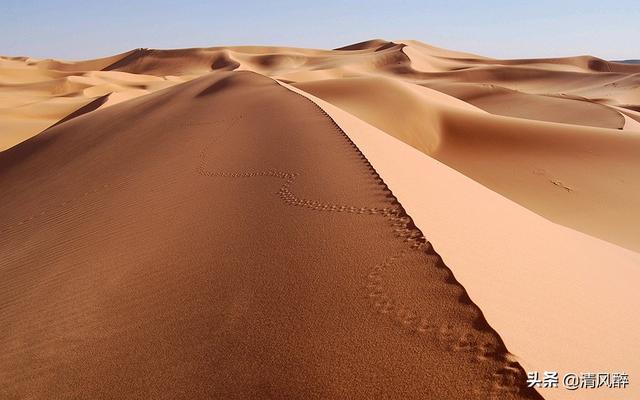 忆青春致青春的句子，忆青春致青春的句子唯美（青春不再迷茫的说说）