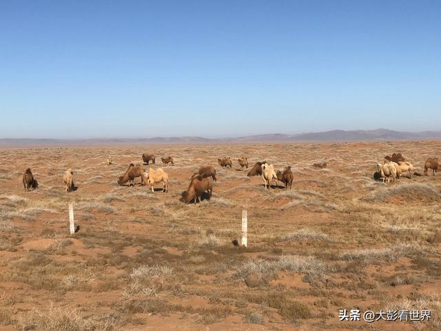 腾格里沙漠攻略，腾格里沙漠旅游攻略（见过腾格里沙漠的一年四季吗）