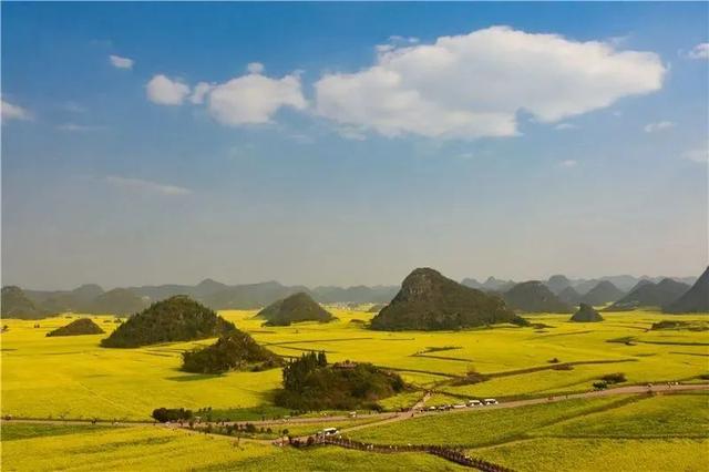 云南花海旅行记，春天，来云南与七彩花海相遇