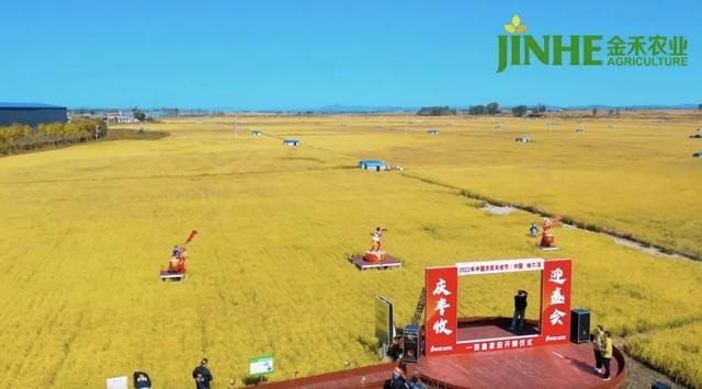 五常大米四大品牌，五常大米哪个品牌好（我选它——五常大米）