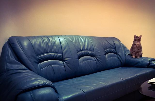 真皮沙发破损修补，皮沙发破了个洞怎么修补（真皮沙发掉皮怎么修复）