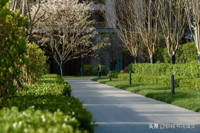 梦见植物是什么征兆，干货丨植物寓意篇