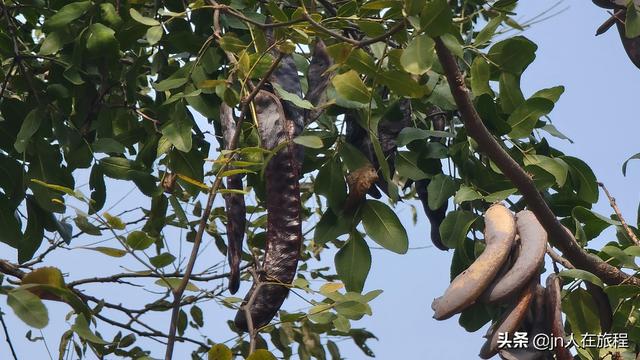 厦门龙洞风景区，厦门龙洞风景区门票多少（厦门龙洞：罕见的峡谷地貌）