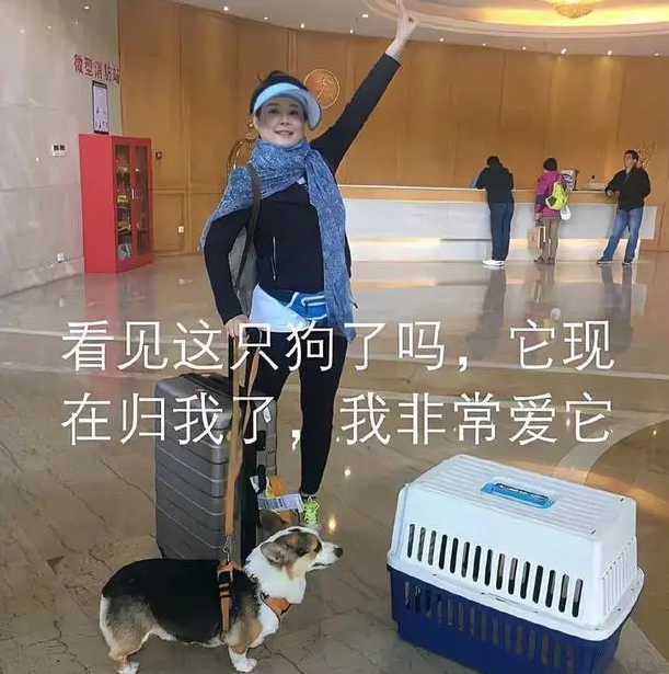 大长今历史原型，大长今是历史事实吗（“红极一时”的7位女二现状）