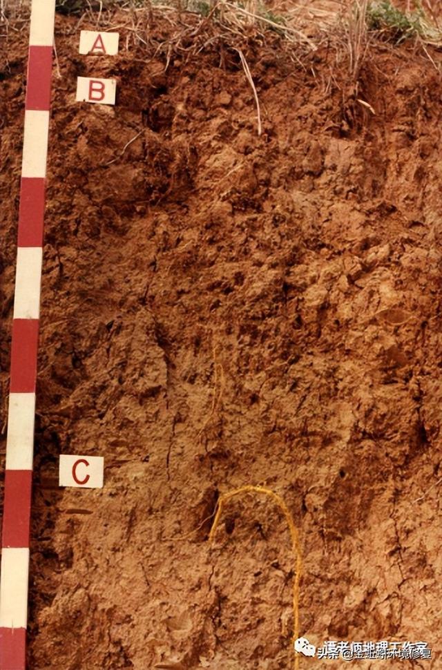 土地性质分类和用途，怎么查个人土地信息（附中国土壤的分类及分布）