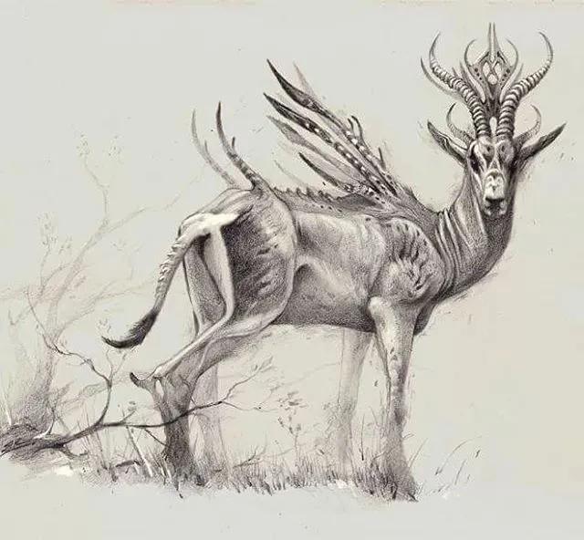 牛怎么画简单又漂亮，正方形简笔画之如何画牛（用作简单的绘画工具）