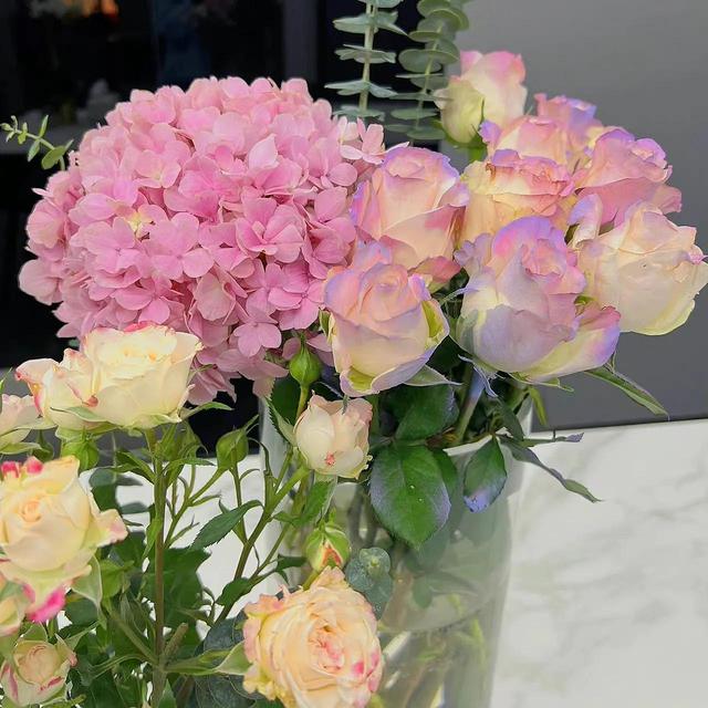 花朵系列背景图，花朵背景图片大全高清唯美（温馨又治愈的花朵背景图）