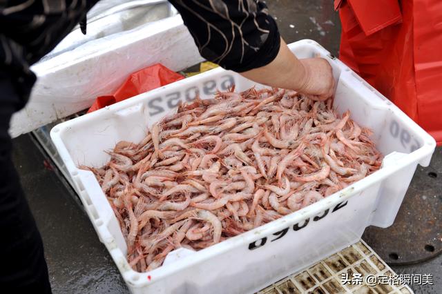 青岛大虾是什么虾，青岛大虾几月份最好吃（海鲜记住“两买两不买”）