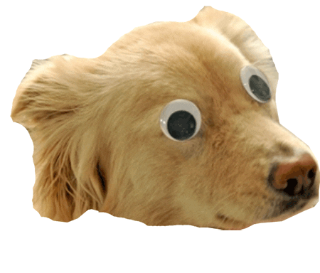 就是晚安的意思,小点点是《花园宝宝》这部动画片里的一位人物的名字