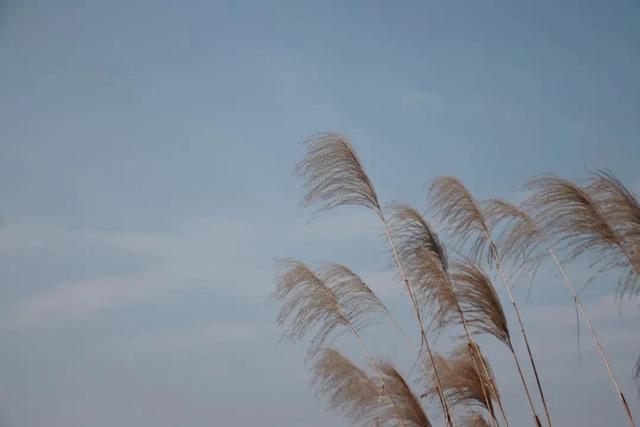 情人节日志大全，日记情人节祝福语大全[1]（2022年情人节的生活日记）