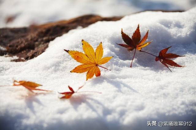 关于雪的唯美标题图片