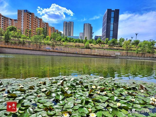 夏天有什么景色，夏天有哪些景色的描写（夏天的美景）