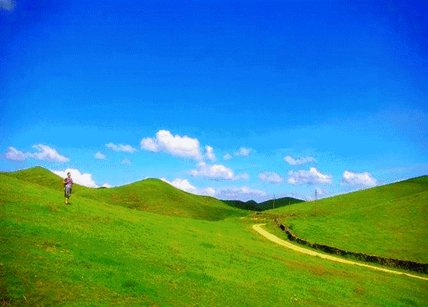 湖南南山牧场在哪里，湖南南山牧场旅游攻略自驾游（邵阳旅游推荐：南山牧场）