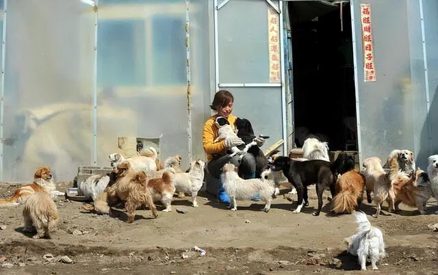 母猫几个月做绝育最好，母猫几个月做绝育（猫咪绝育的最佳时间是什么时候）