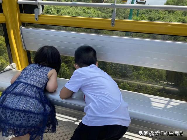广州长隆好玩吗，广州长隆景区旅游攻略（我们去过最好玩的动物园）