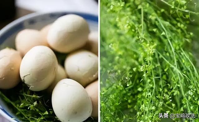 三月初三是什么日子，三月三佛教什么日子（一个被国人渐渐淡忘的节日）