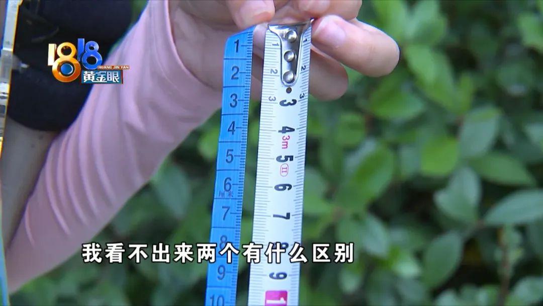 寸等于多少厘米(六寸是多大的蛋糕)"