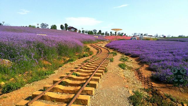 弥勒市属于哪个市，弥勒是云南的那个地方（凭啥成为云南旅居城市的天花板）