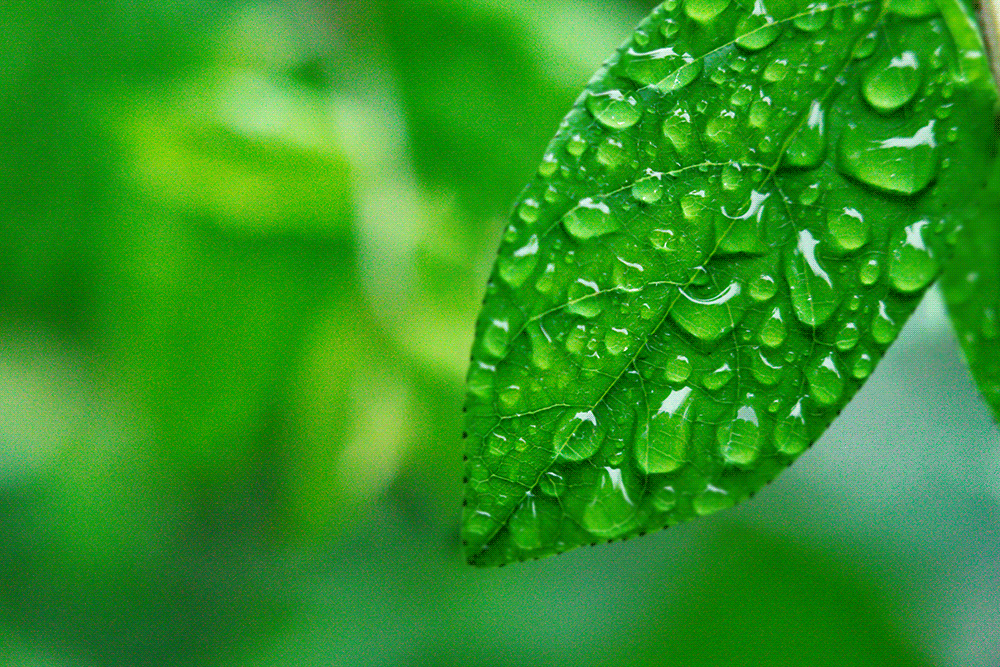 带雨的好名字，带雨的好名字两个字（每一场雨，都有一个好听的名字）
