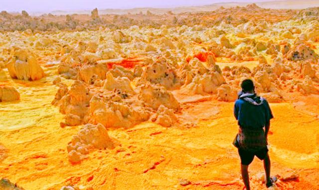 非洲的气温大多在多少度，非洲的平均气温在多少度以上（却仍有一群人在此生存）