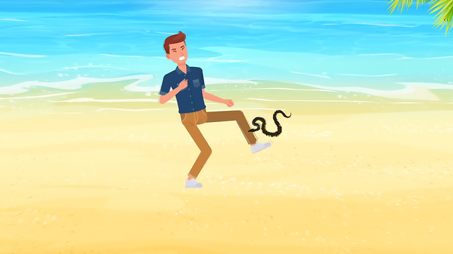 海蛇有毒吗，宠物蛇专卖网（有一种情况下海蛇会追着你咬）