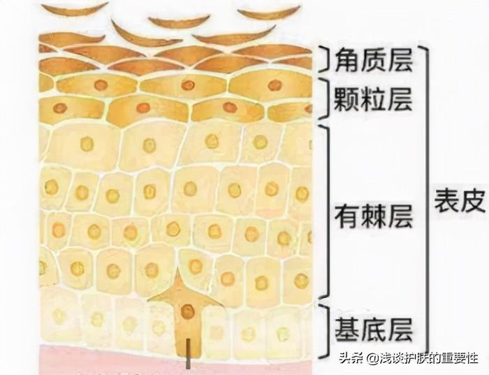 睡前一般用哪几样护肤品最好，不同的搭配有哪些效果