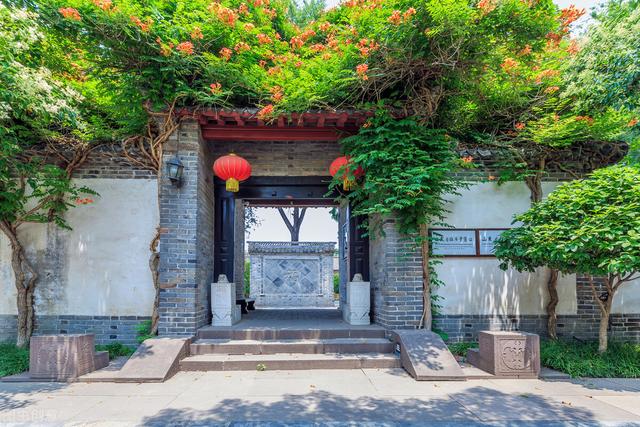 坟前栽树有什么讲究，坟前栽树有什么讲究 几个（农村俗语：屋不进三）