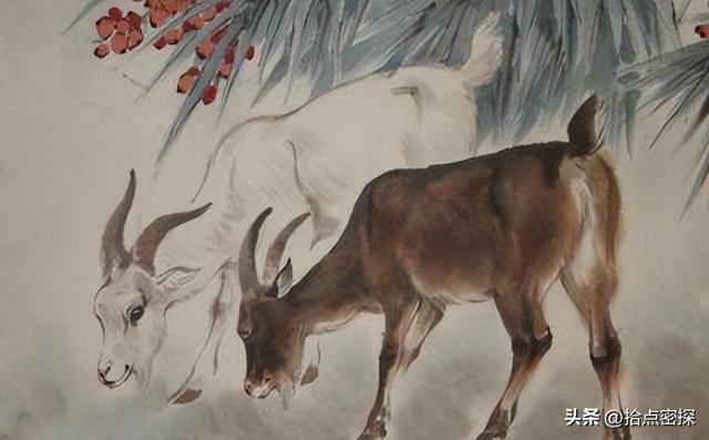 动物分为哪六大类，1000个动物名字（排列到底是按照什么顺序排列的）