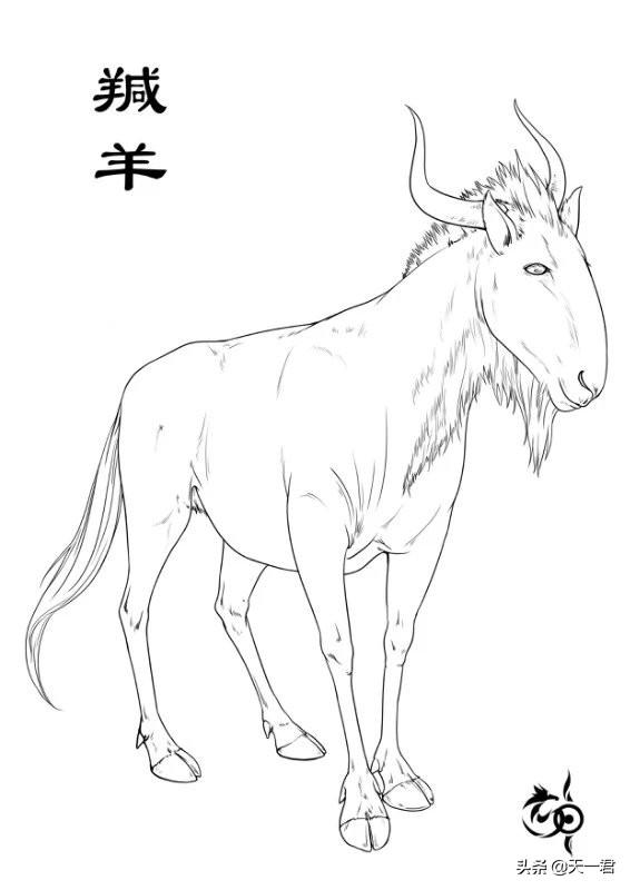 三个羊念什么字，三个羊念什么（神话传说中的异兽系列——羬羊）