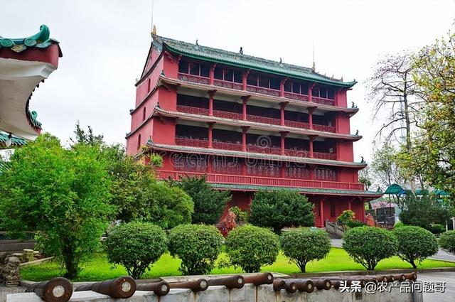 广州干果批发市场在哪里批发，广州干果批发市场在哪里批发便宜（广东省广州越秀区农产品市场这么多呀）