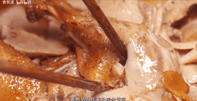 泉州为什么叫鲤城，泉州古城区是鲤城区吗（中国人的“古早味”自由）