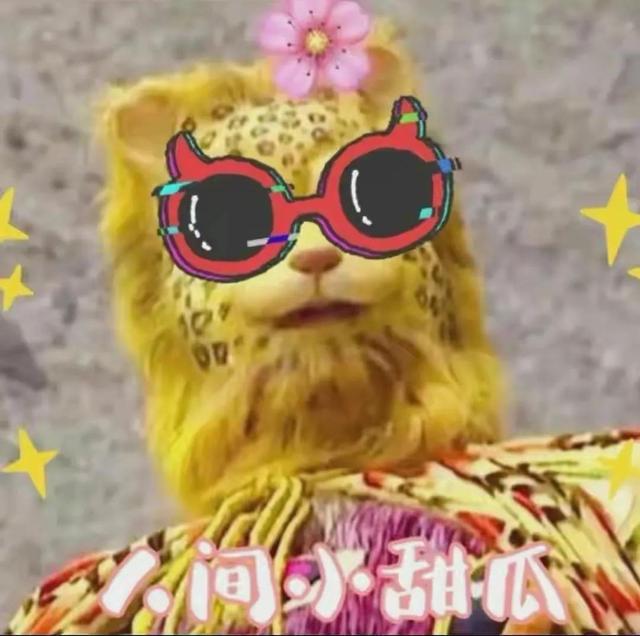 金钱豹头像图片，金钱豹头像✨微信（最全金钱豹头像！请叫我谢谢）