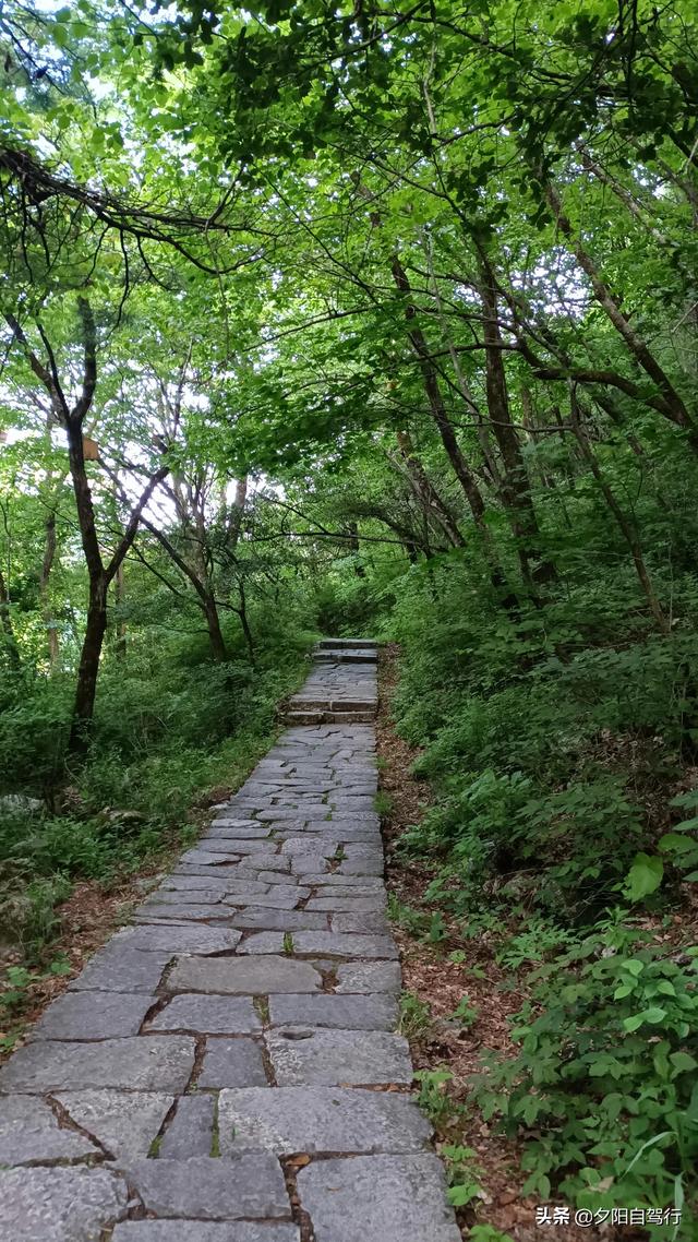 朱雀森林公园旅游攻略一日游，大山深处的朱雀国家森林公园