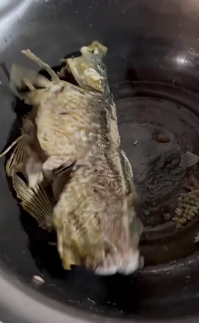 鱼的内脏解剖图，龙鱼内脏解剖图解（通体熟透、内脏掏空）