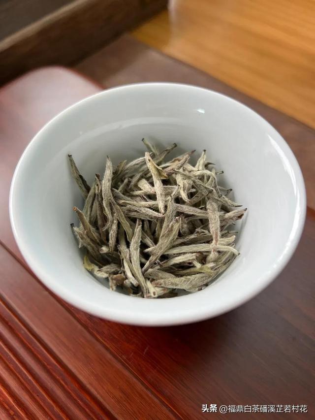 福鼎白茶产区磻溪，带你了解白茶优质产区，磻溪镇