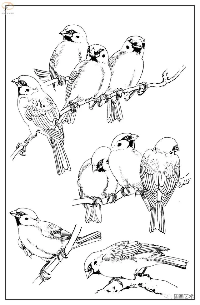 火的简笔画图片，火焰怎么画简笔画图片（画鸟参考——白描麻雀百图）