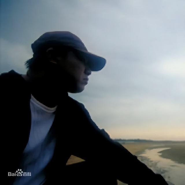 乌龙闯情关主题曲，抖音最火100首歌曲（歌红人不红的9位歌手）