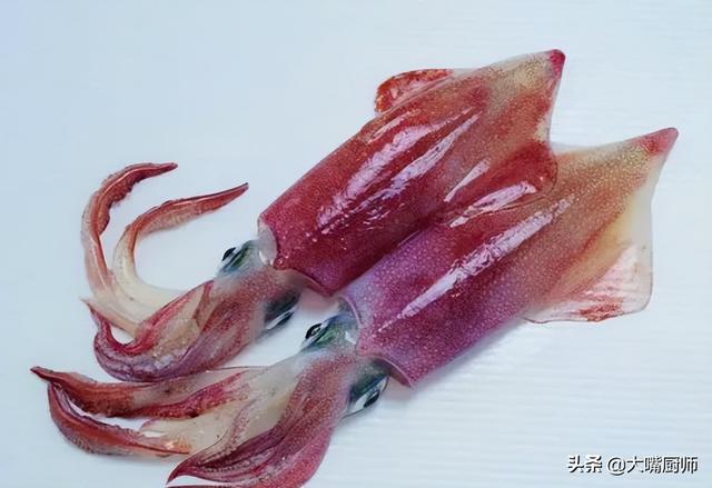 墨鱼的功效与作用，墨鱼的功效是什么（墨鱼的“墨汁”和墨水有啥区别）