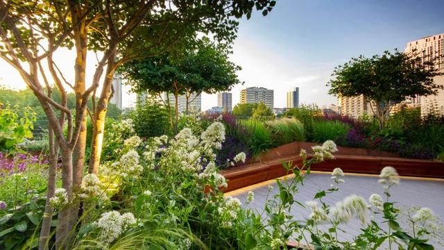 楼顶花园适合种什么植物 屋顶花园植物选择要求,楼顶花园适合种什么
