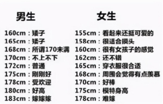 170和165站在一起图片，男女身高差对照图片（低于这个数字就算矮）