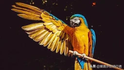 形容安静的句子，形容安静的唯美句子（让人安静的句子）