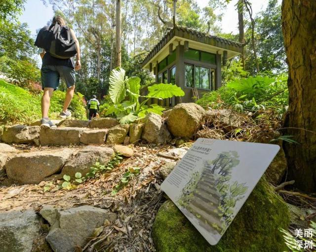 深圳游玩攻略必去的地方免费，7个遛娃好去处全免费