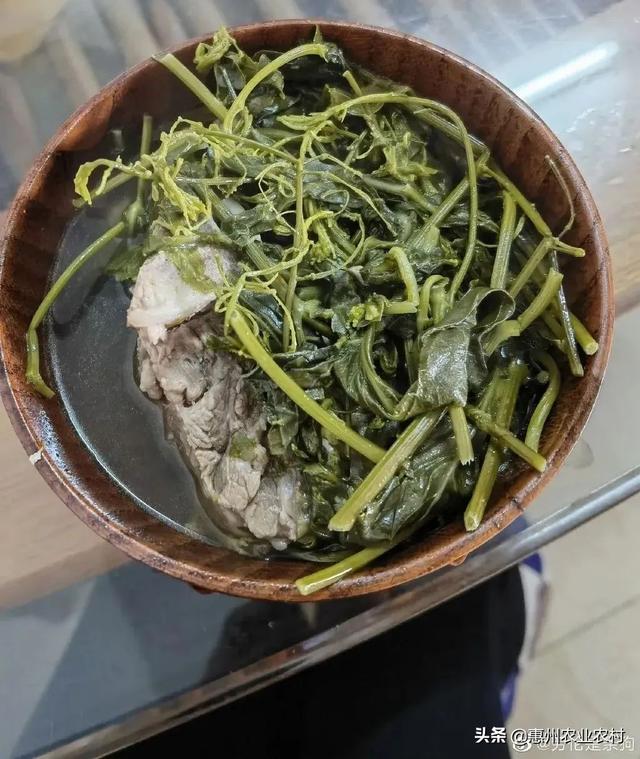 蔊菜与荠菜的图片区别，荠菜长什么样子图片（据说这些是惠州菜市场“最难买”的野菜）