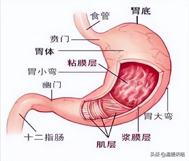 婴幼儿的年龄段是几岁到几岁，婴幼儿是指几岁到几岁（婴幼儿的年龄分期及各期特点）