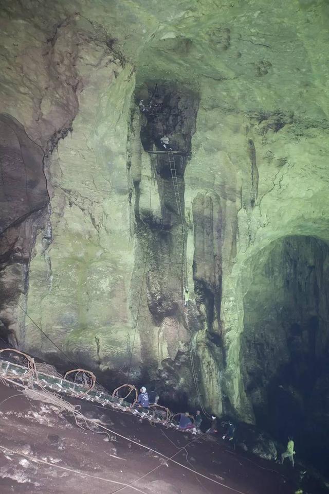 燕窝多少钱一斤，燕窝价格多少一斤（小哥筑屋引燕一个月产5斤燕窝）